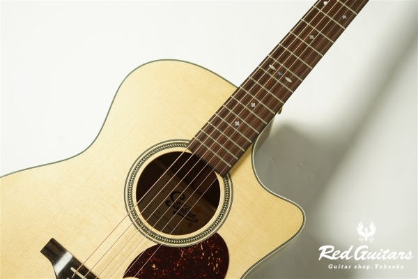 F120-GA Sitka Spruce / African Mahogany